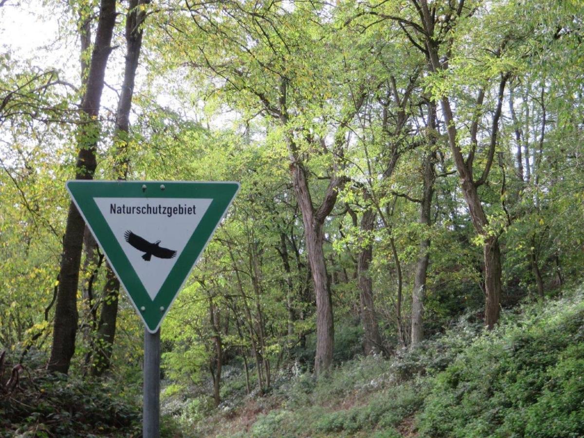 Ferienwohnung Familie Buchner Großheubach Esterno foto